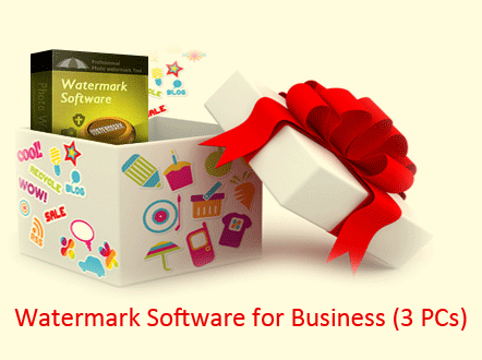 Watermark Software for Business can be used on 3 PCs