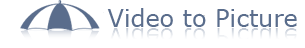 Video to gif