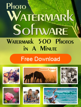 Watermark Software