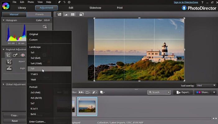 Picture Suite - PhotoDirector 7 Essential