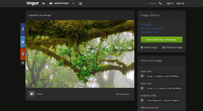 Imgur picture sharing platform