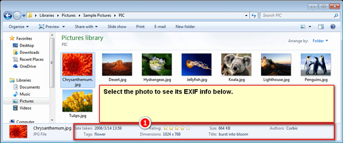 Check photo EXIF tag /EXIF info in Windows